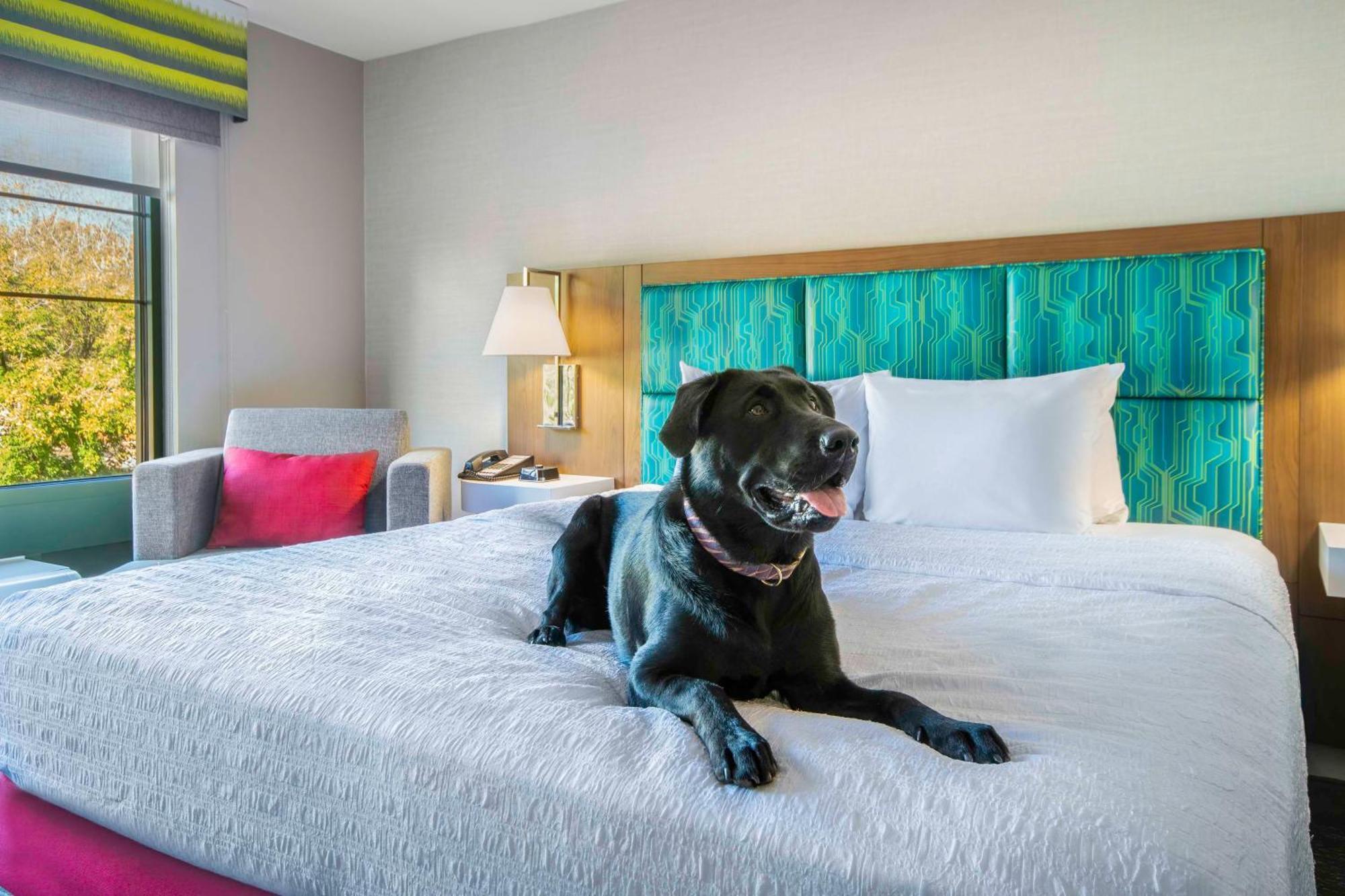 Hampton Inn East Aurora Dış mekan fotoğraf